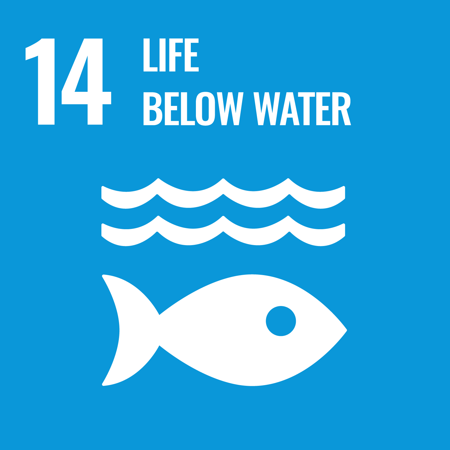 UN Sustainability Development Goal 14 - Life below water