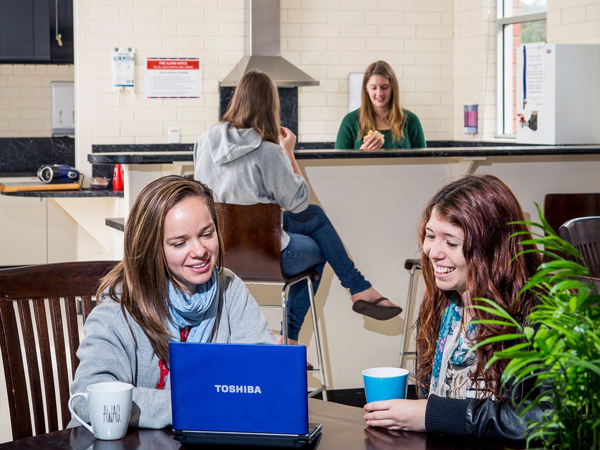 Roseworthy student accommodation