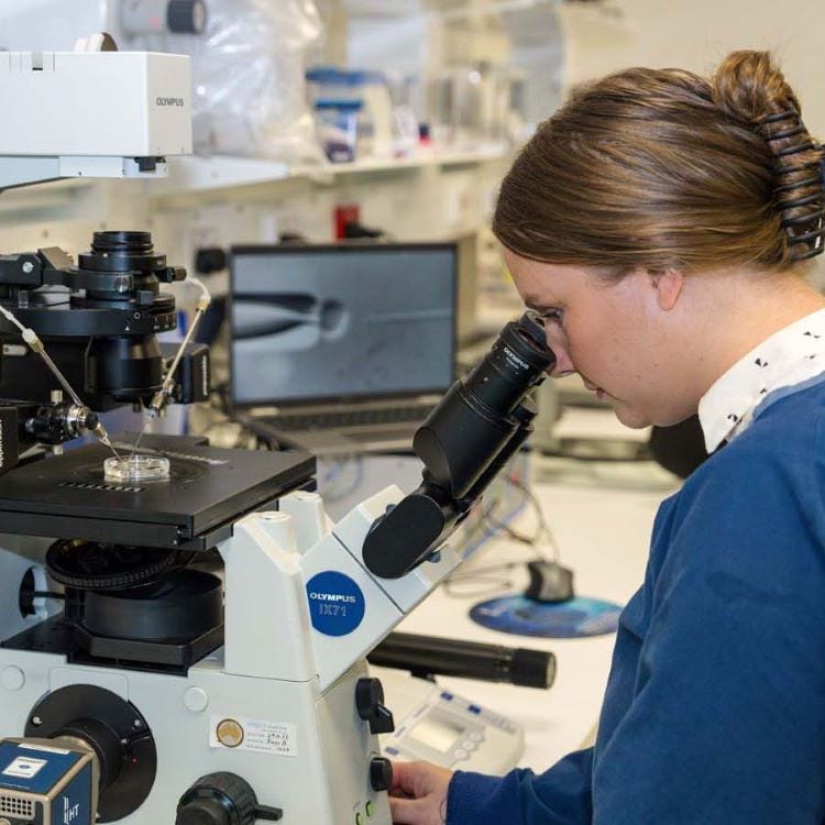 Stock photo of women sitting at a microscope