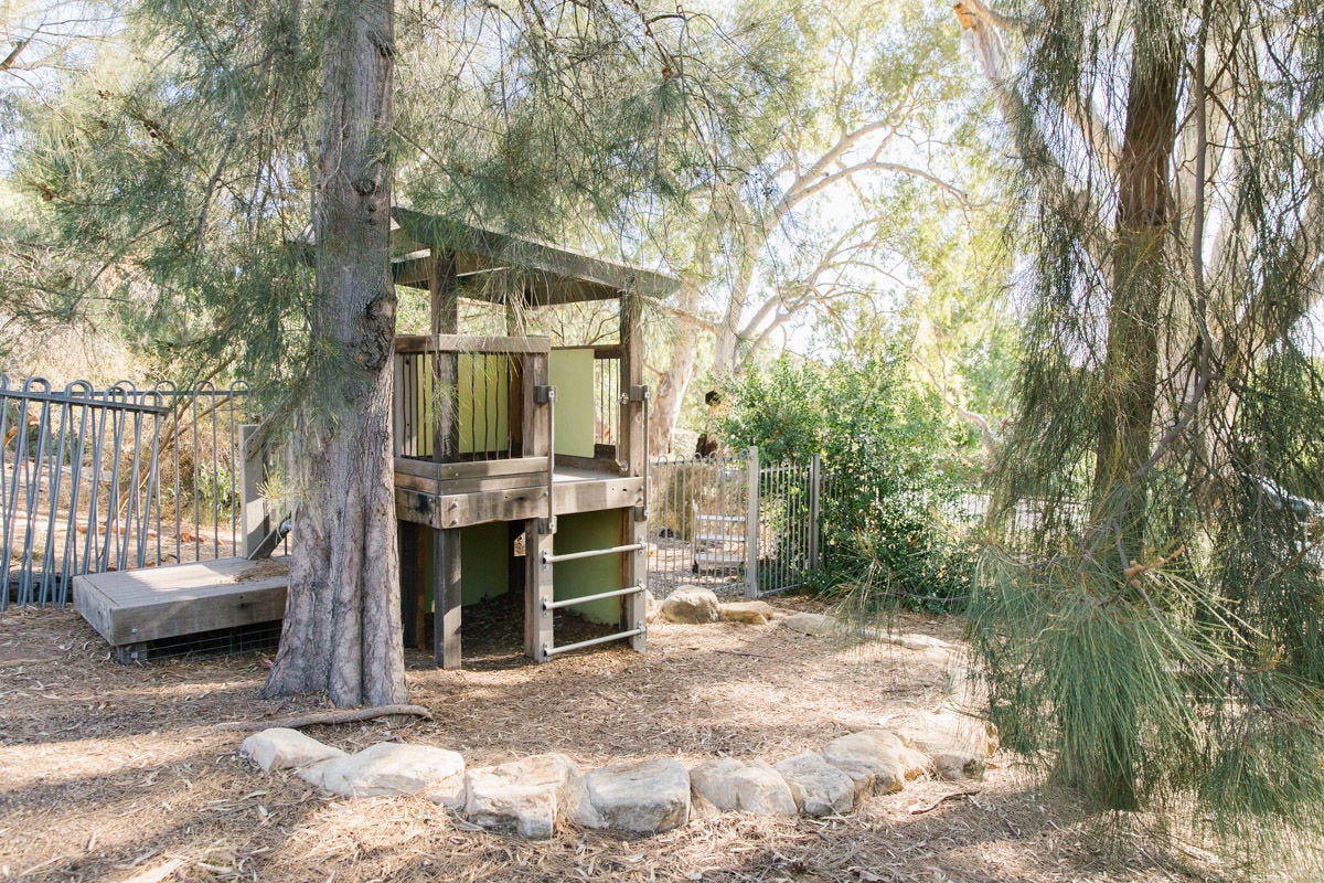 Pilyabilyangga and the Adventure Playground