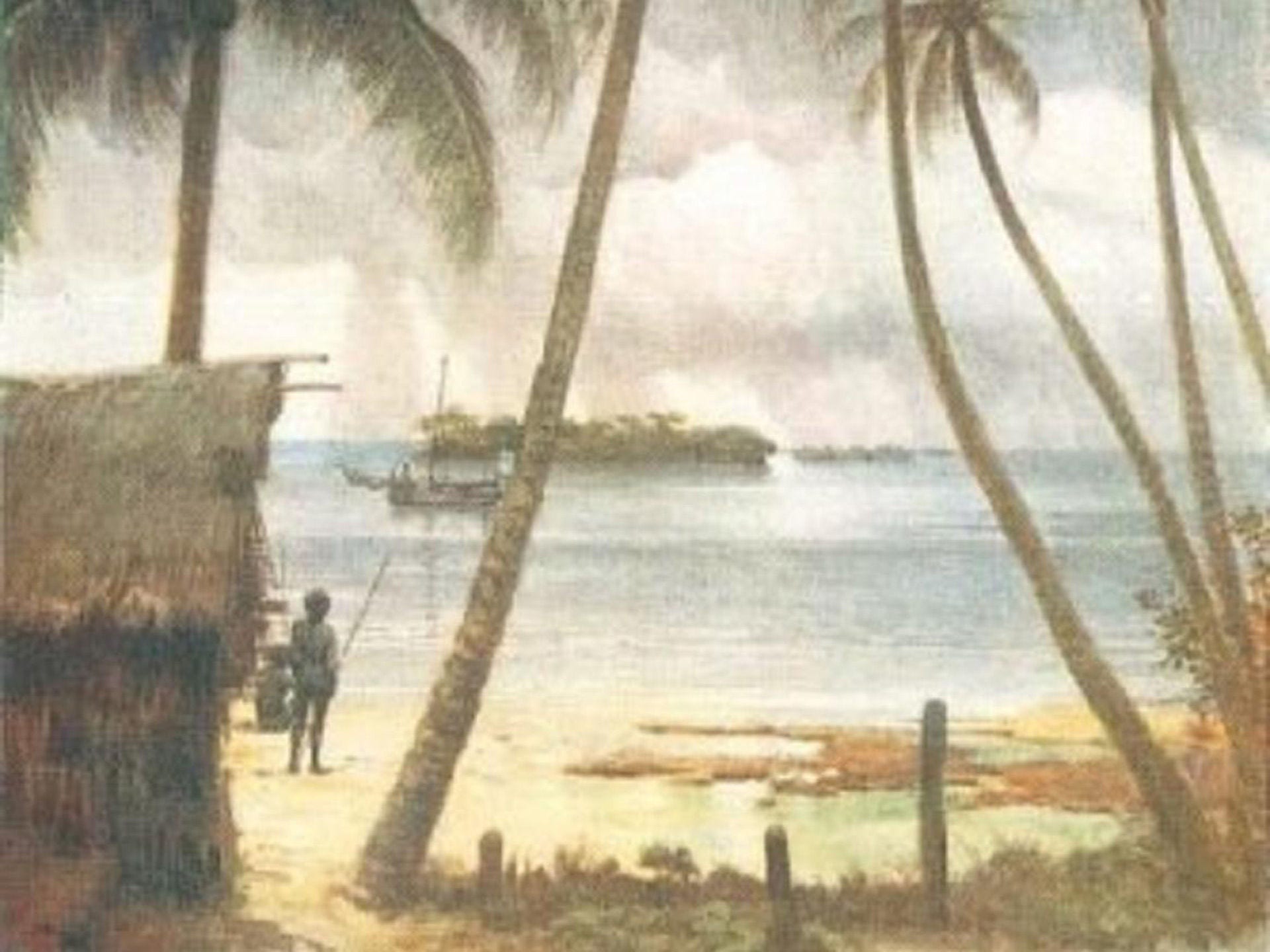 Image of a book in the Pacific Collection showing palm trees a beach, people and a hut.