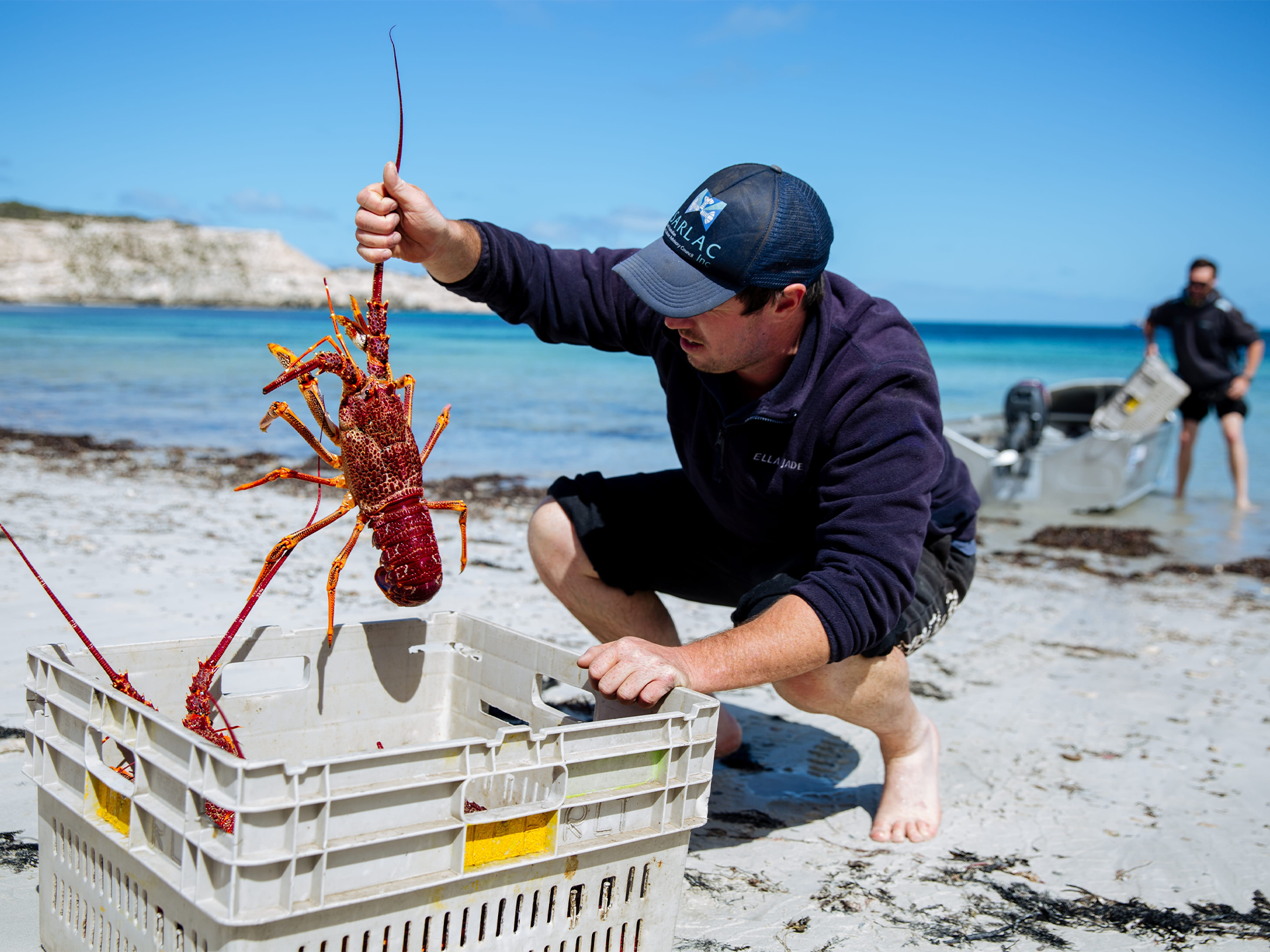 Marine menu