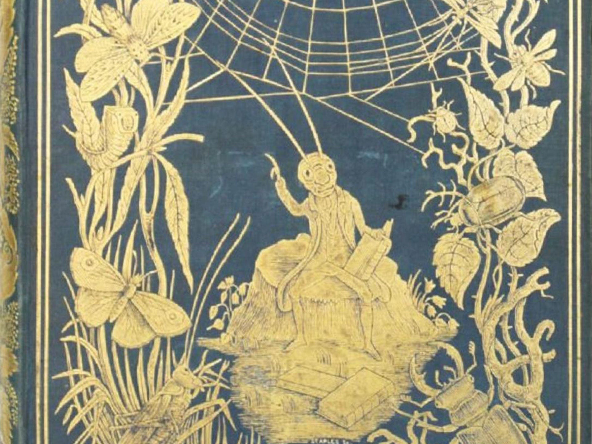 Image of a book in the Rare Book Collection with gold detail, a blue background and various insects (a cricket, beetle, moth)