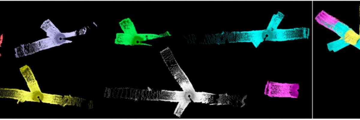 Partially overlapping 3D laser scans