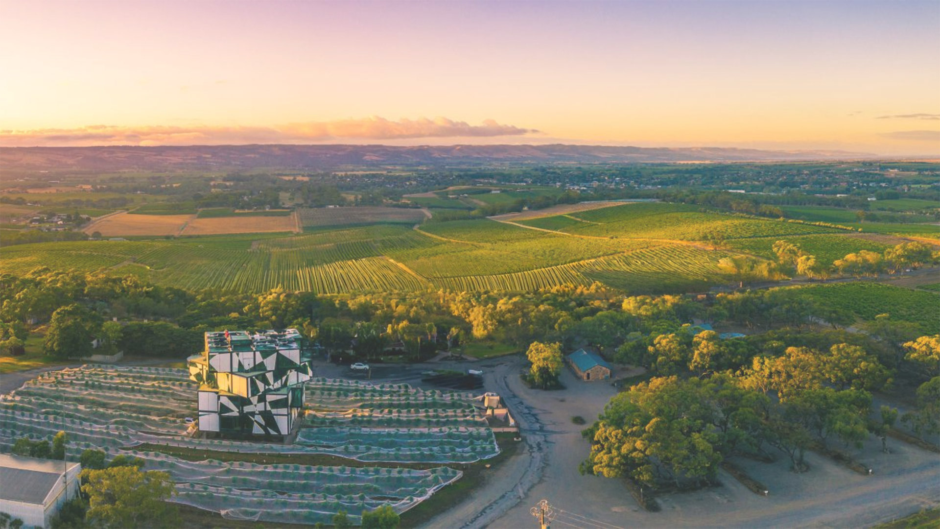 16th International Conference of the Academy of Wine Business Research