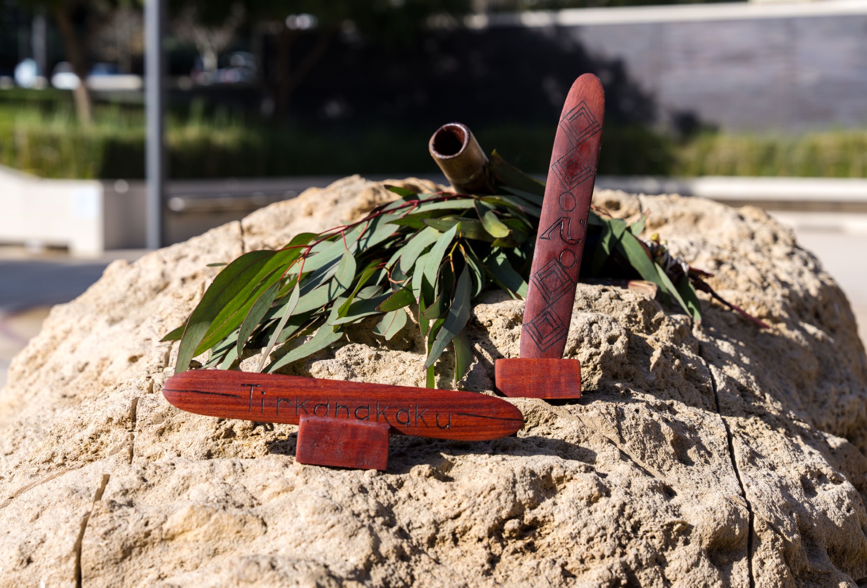 Adelaide University first to receive Aboriginal name