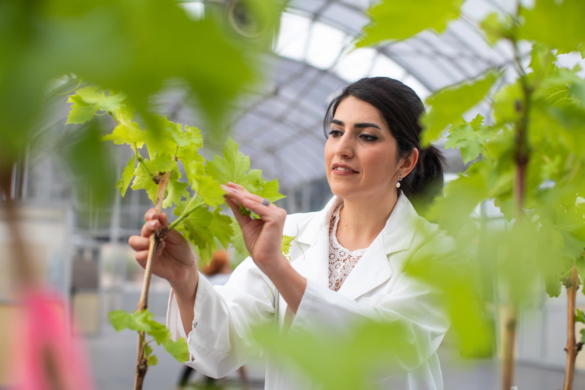Adelaide University among nation’s leaders for research grants
