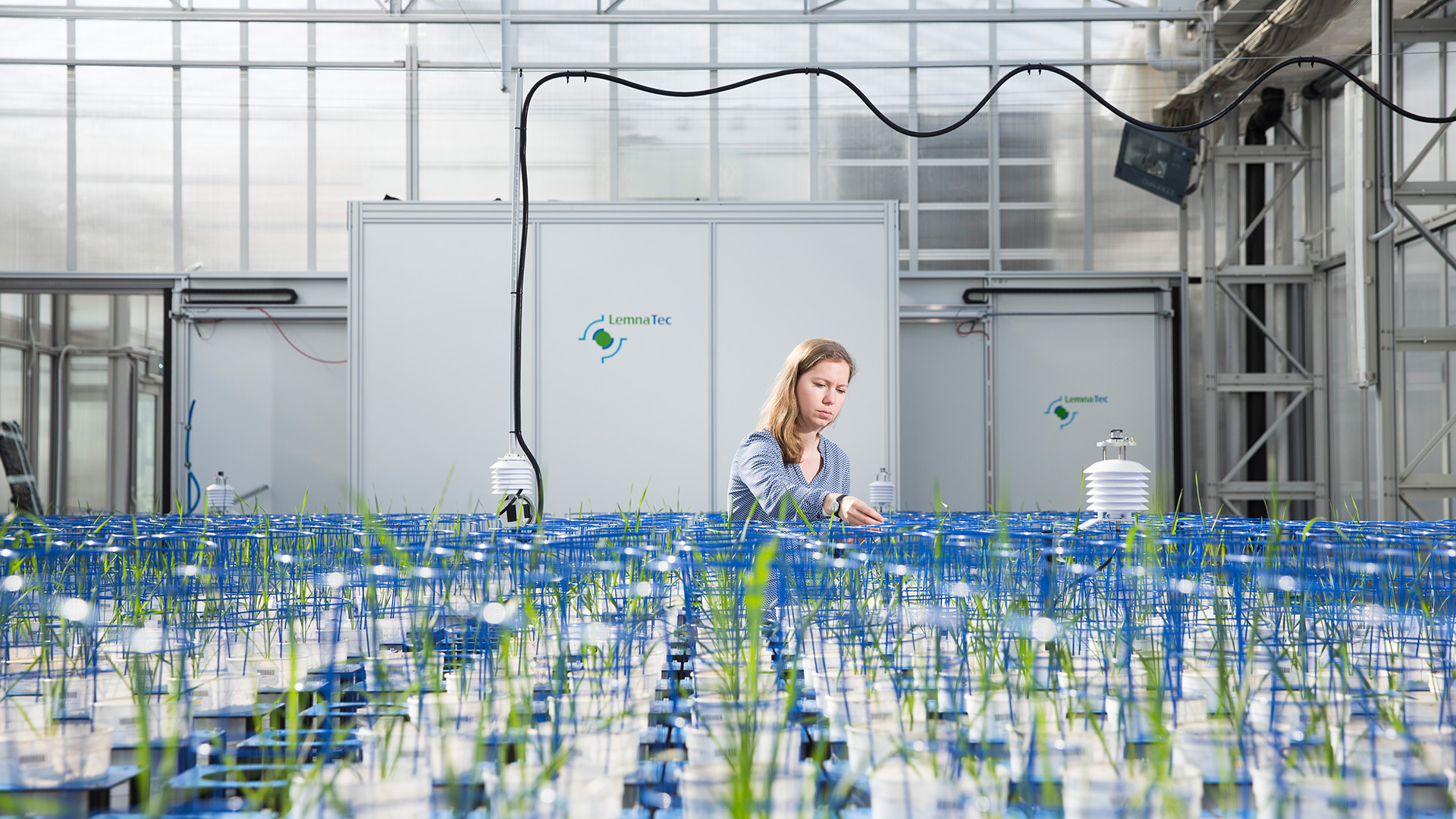 Our research - School of Agriculture, Food and Wine