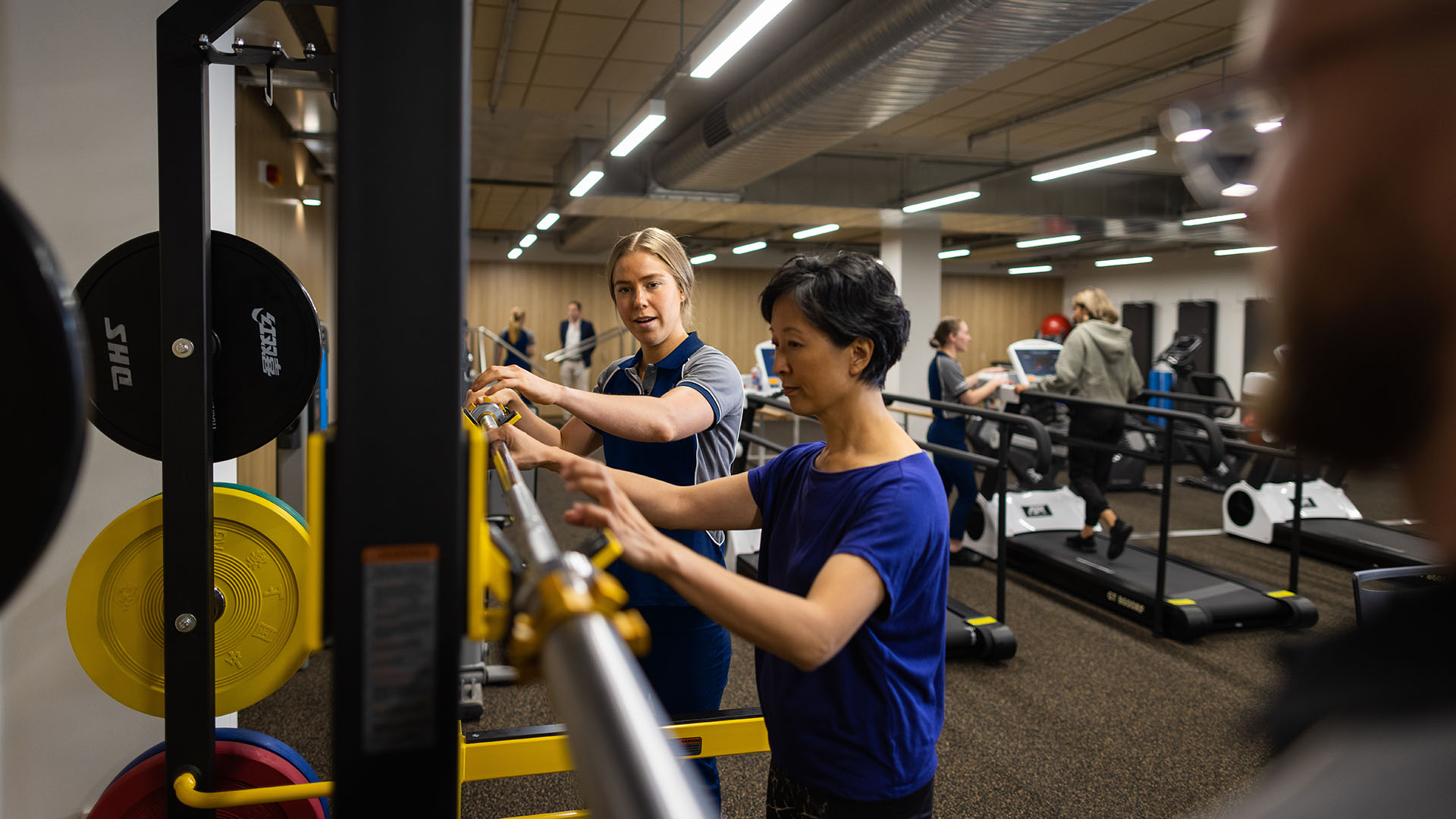 School of Allied Health and Human Performance