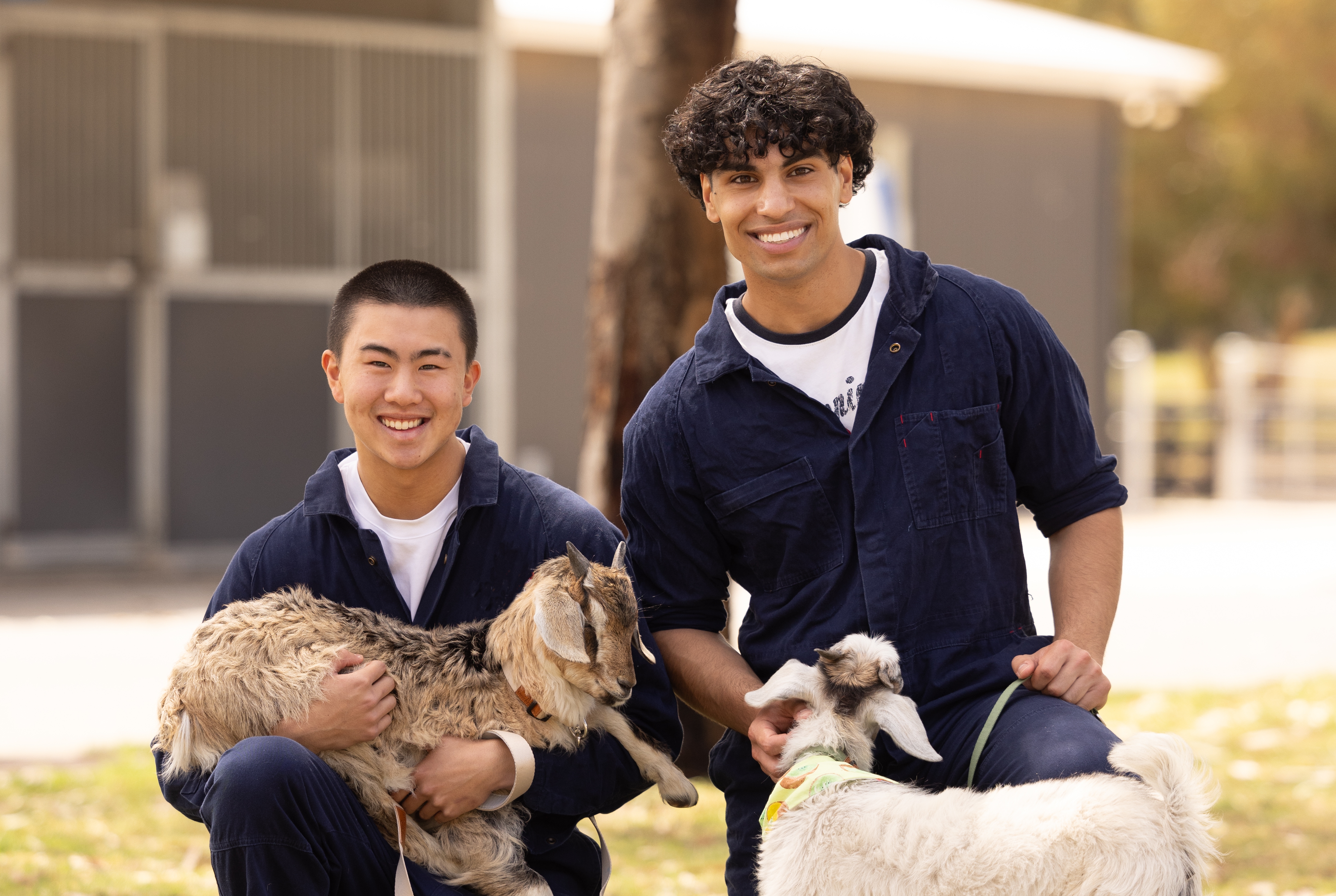 About School of Agriculture, Food and Wine