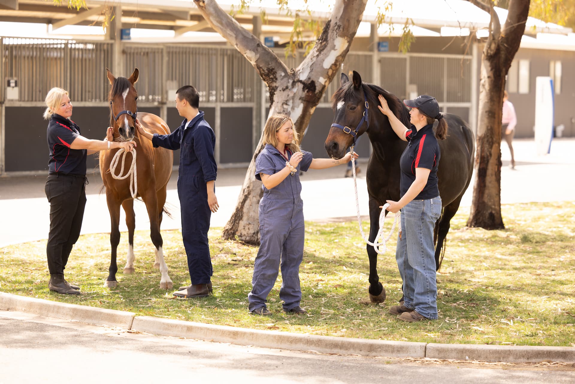 Our research - School of Animal and Veterinary Sciences