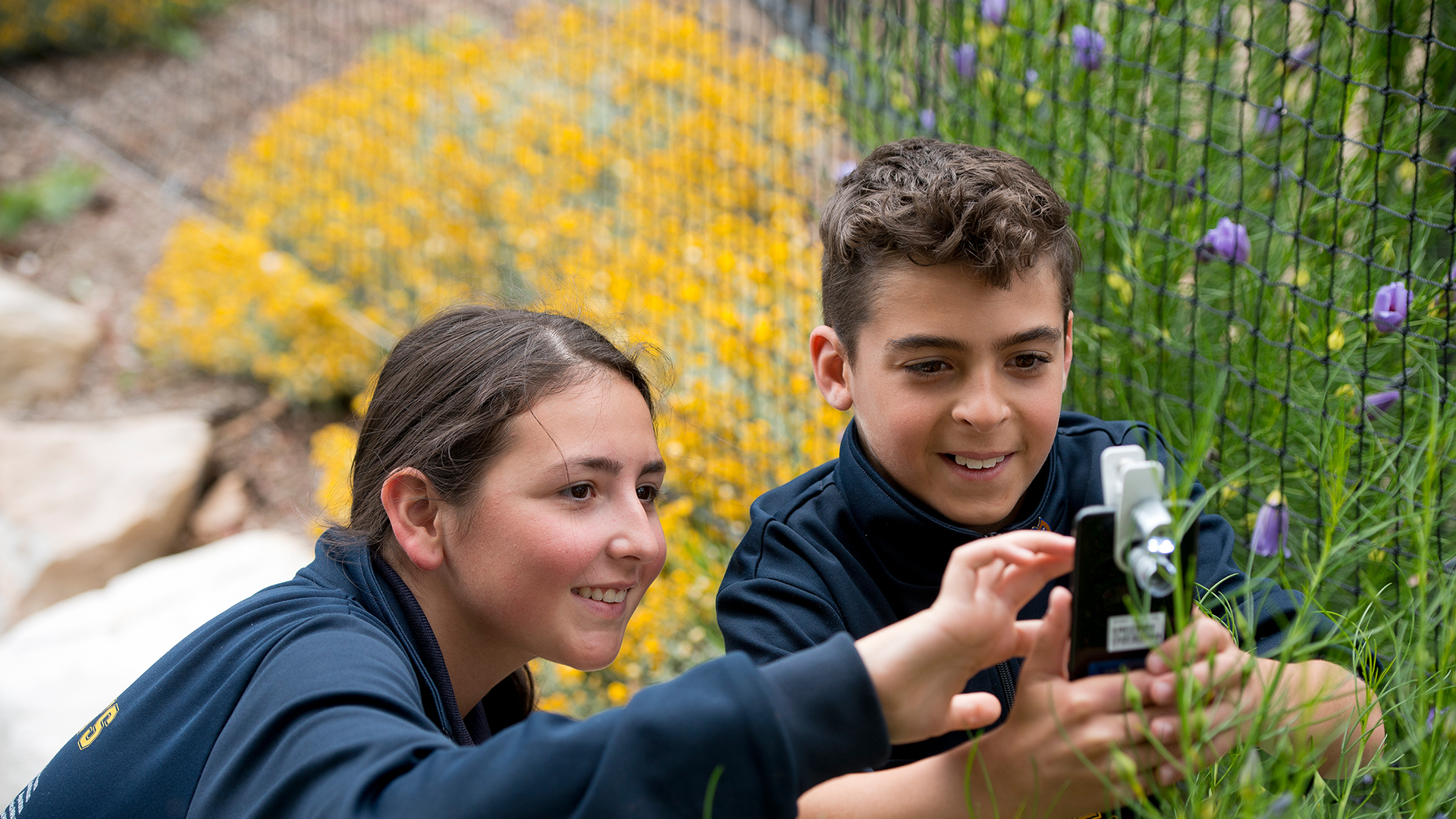 Our research - School of Education