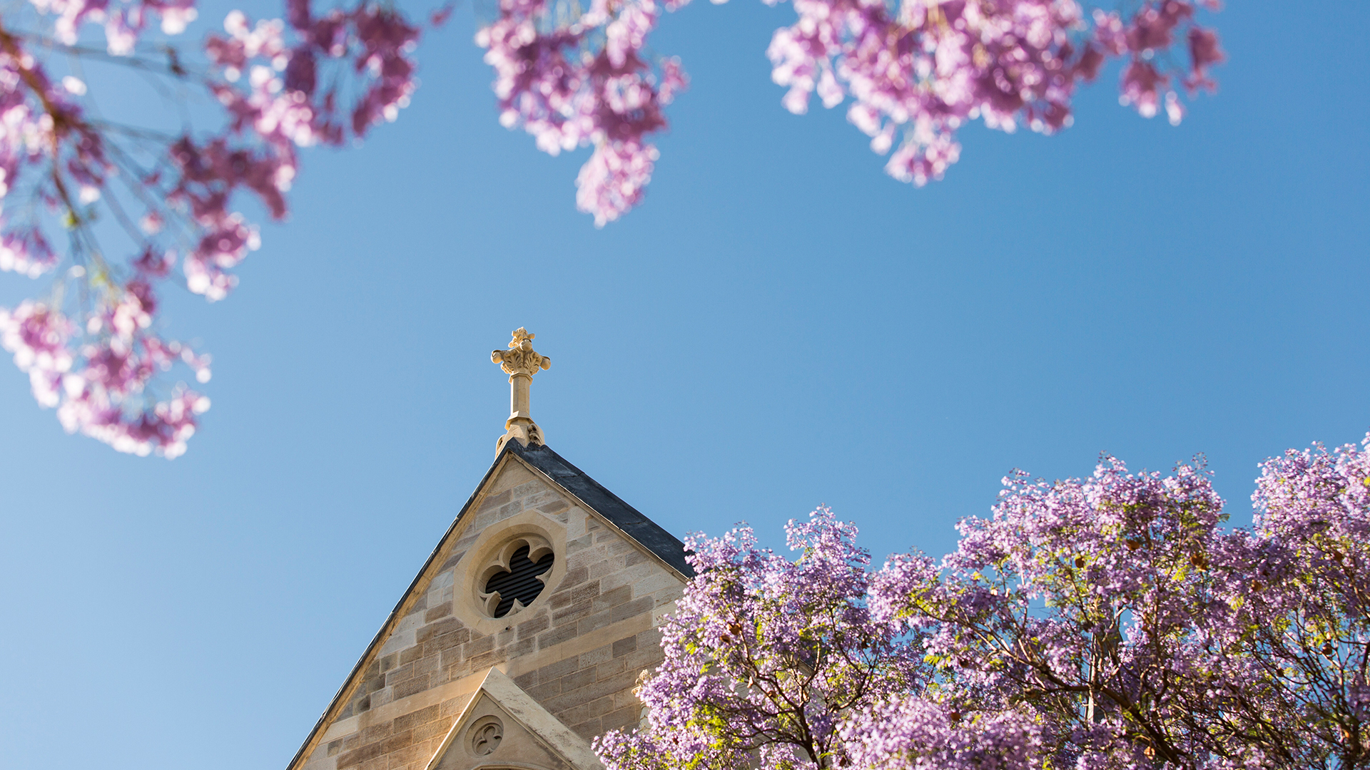 Our people - School of Nursing and Midwifery