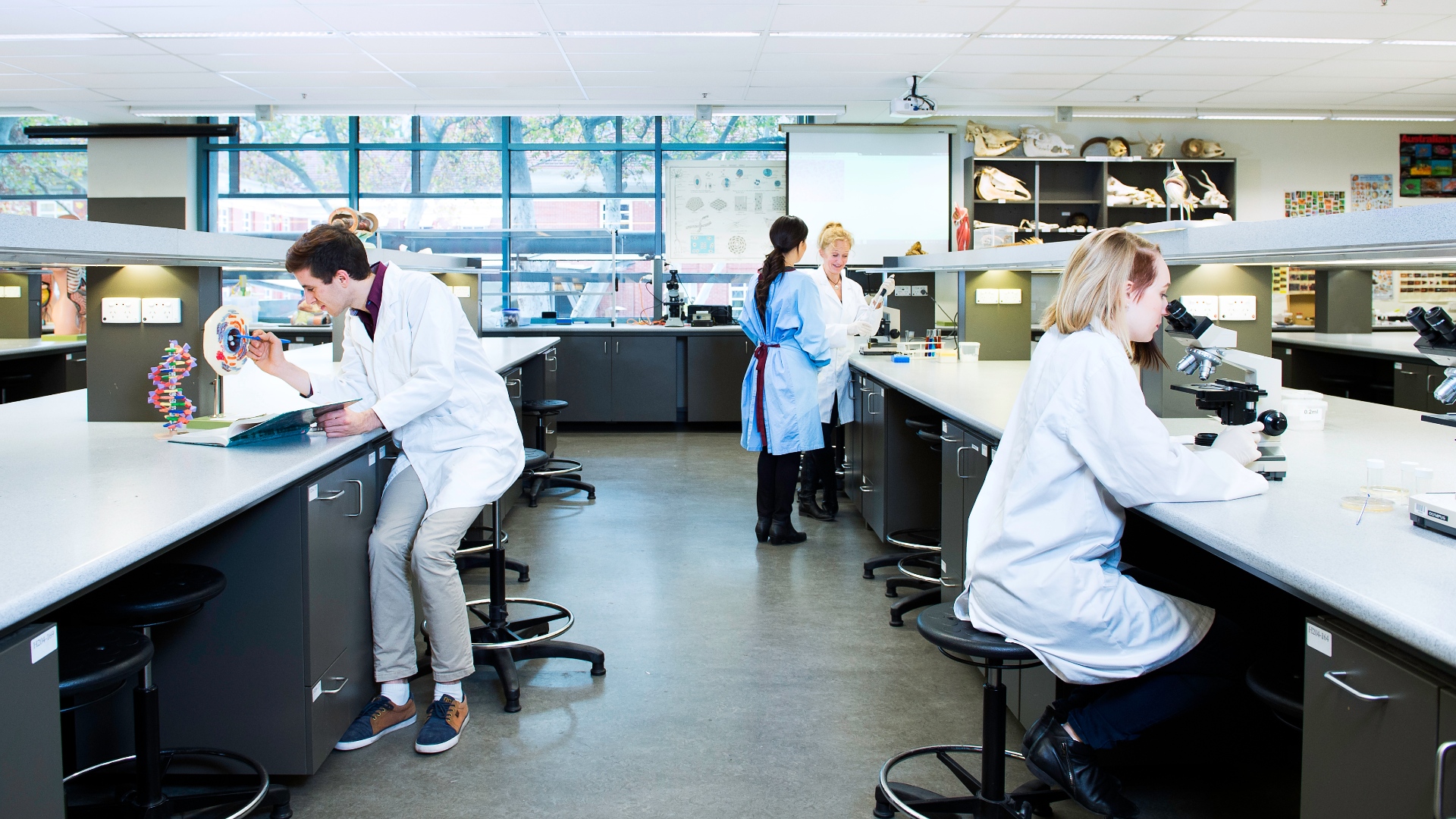 School of Pharmacy and Biomedical Science