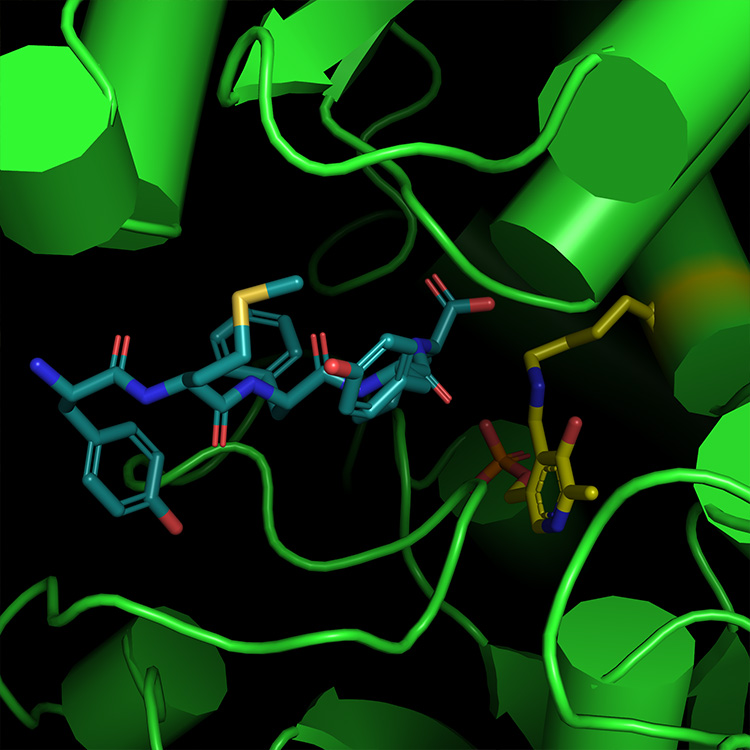 Adelaide Drug Discovery Incubator banner