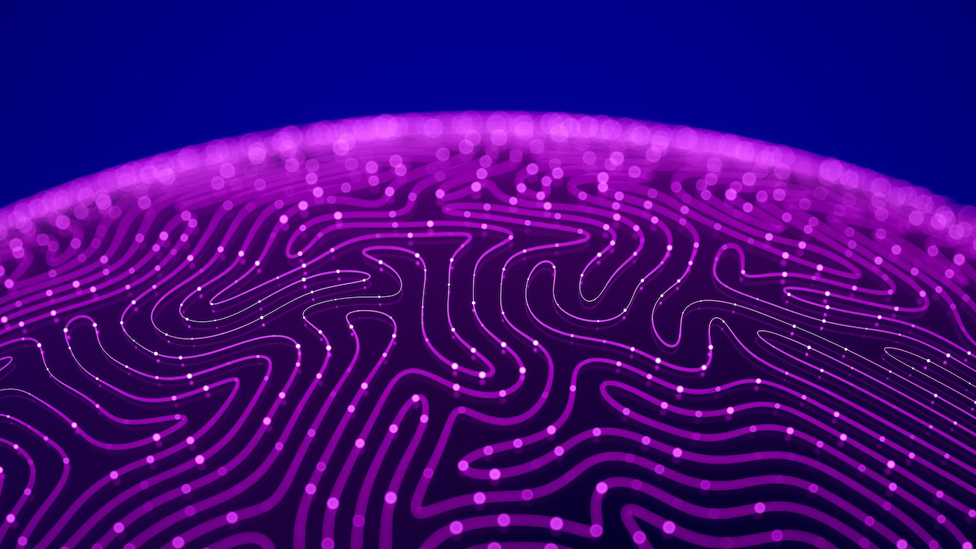 Australian Institute for Machine Learning