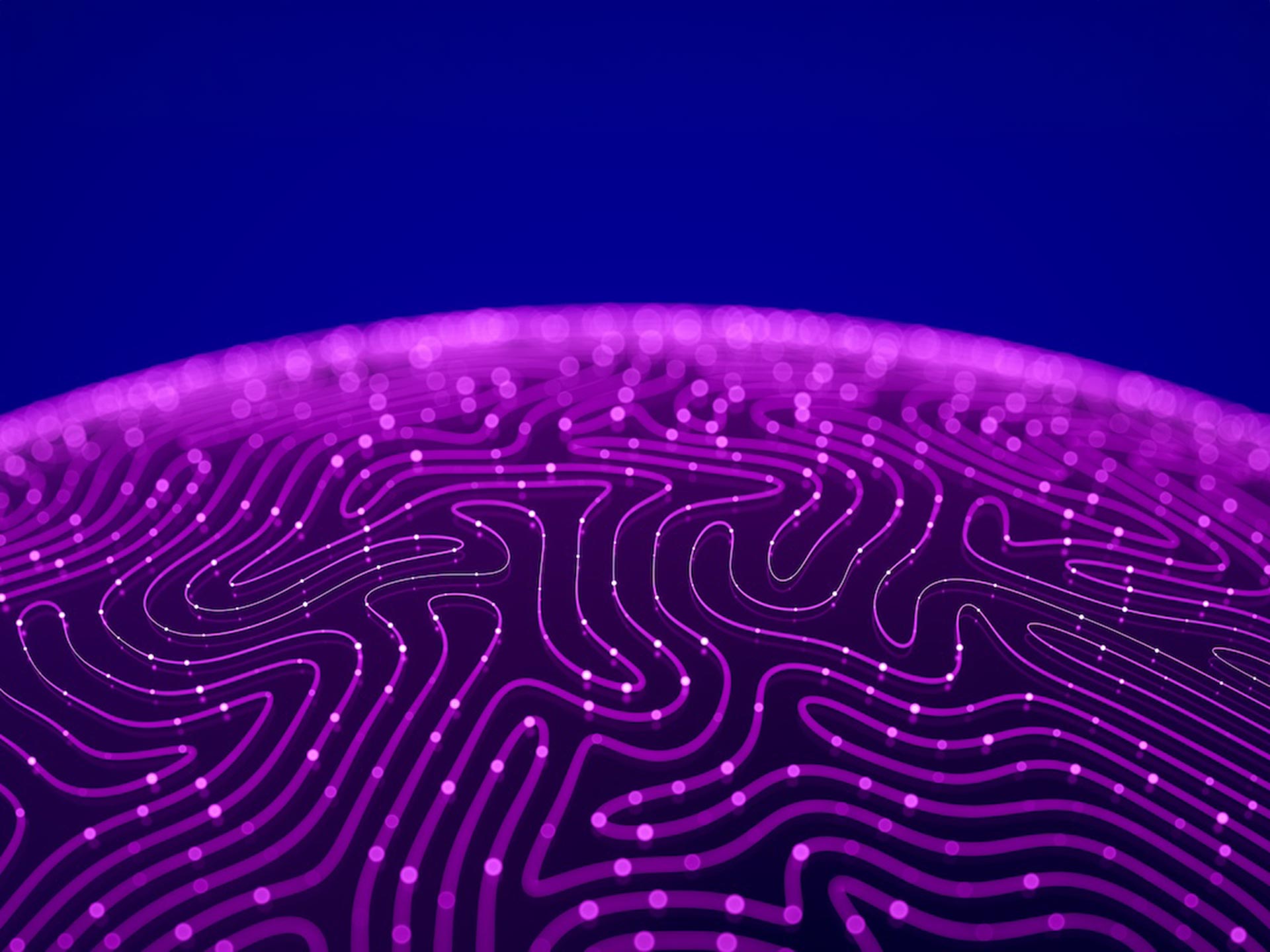 Responsible AI Research Centre