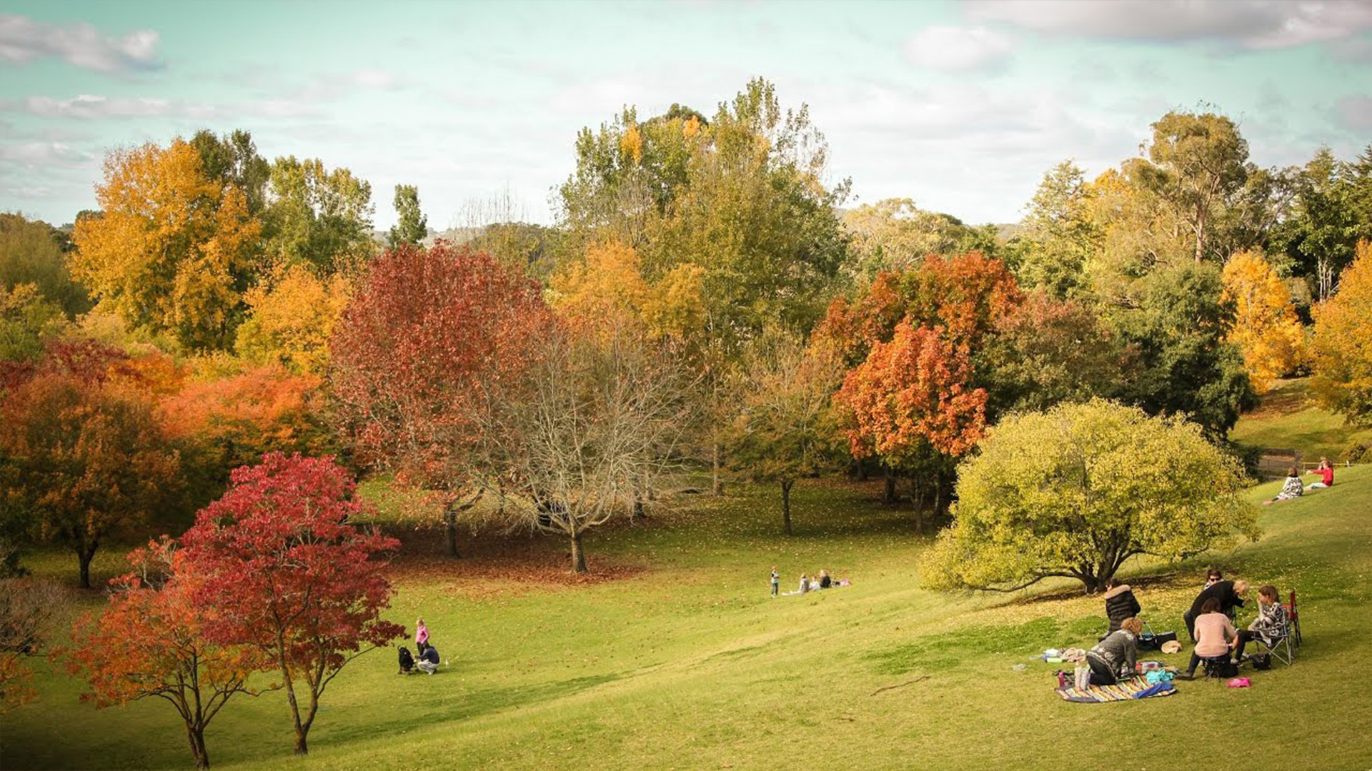 Botanic gardens survey