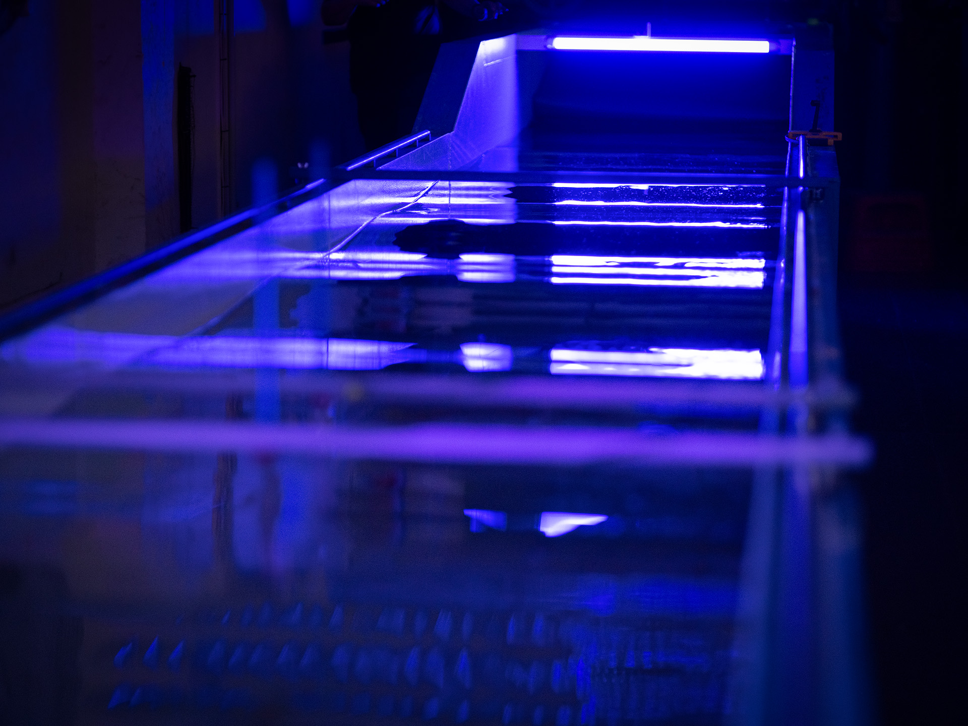 Defence and Security Institute