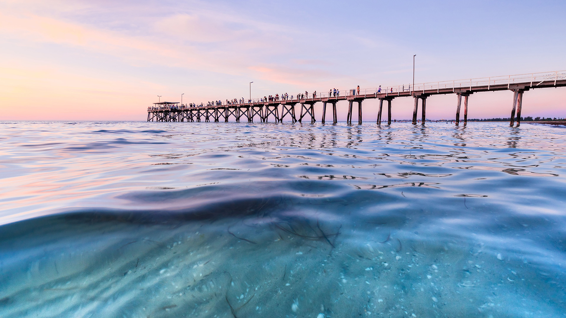 Marine environment image