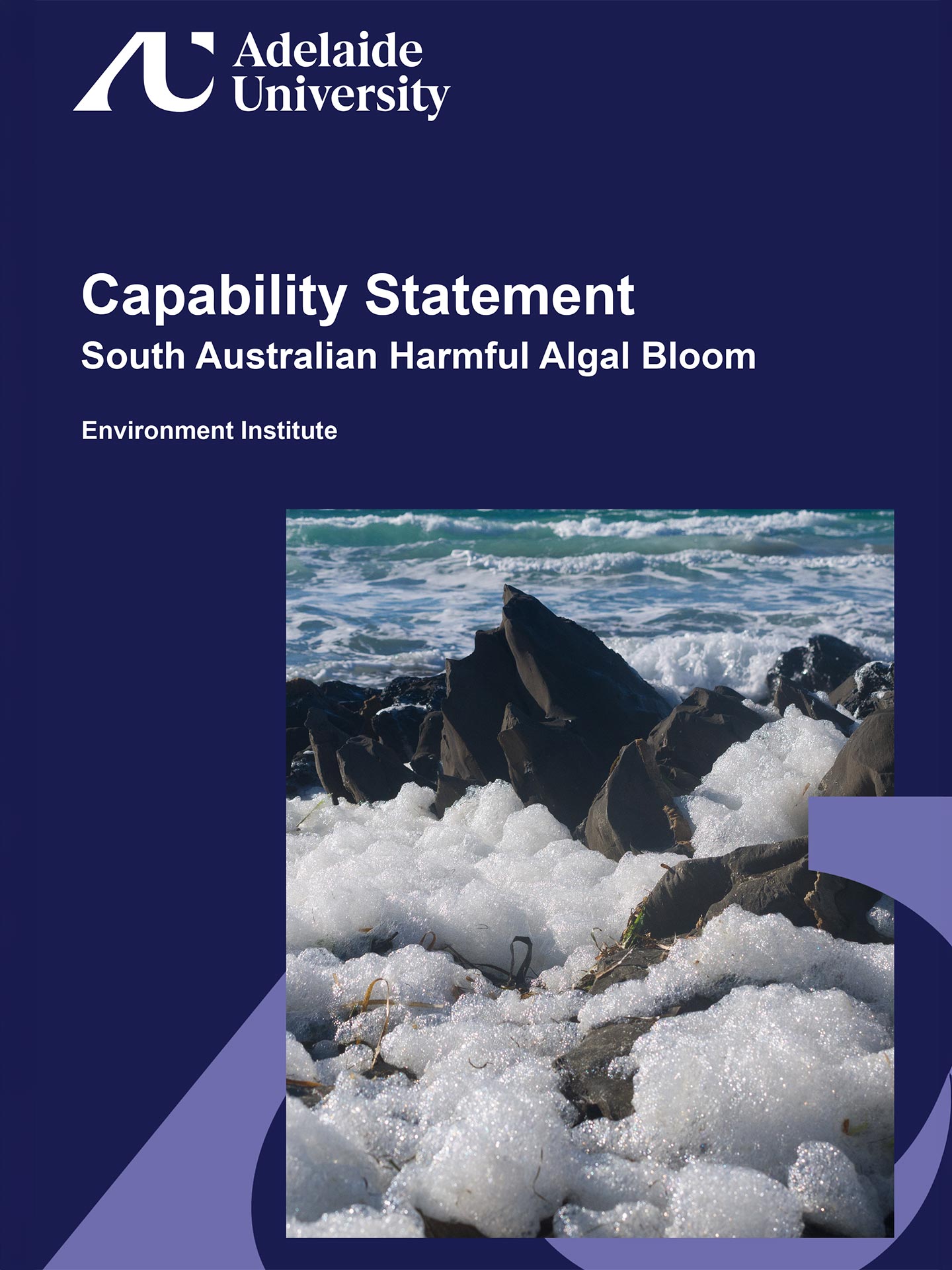 Harmful Algal Bloom Capability Statement
