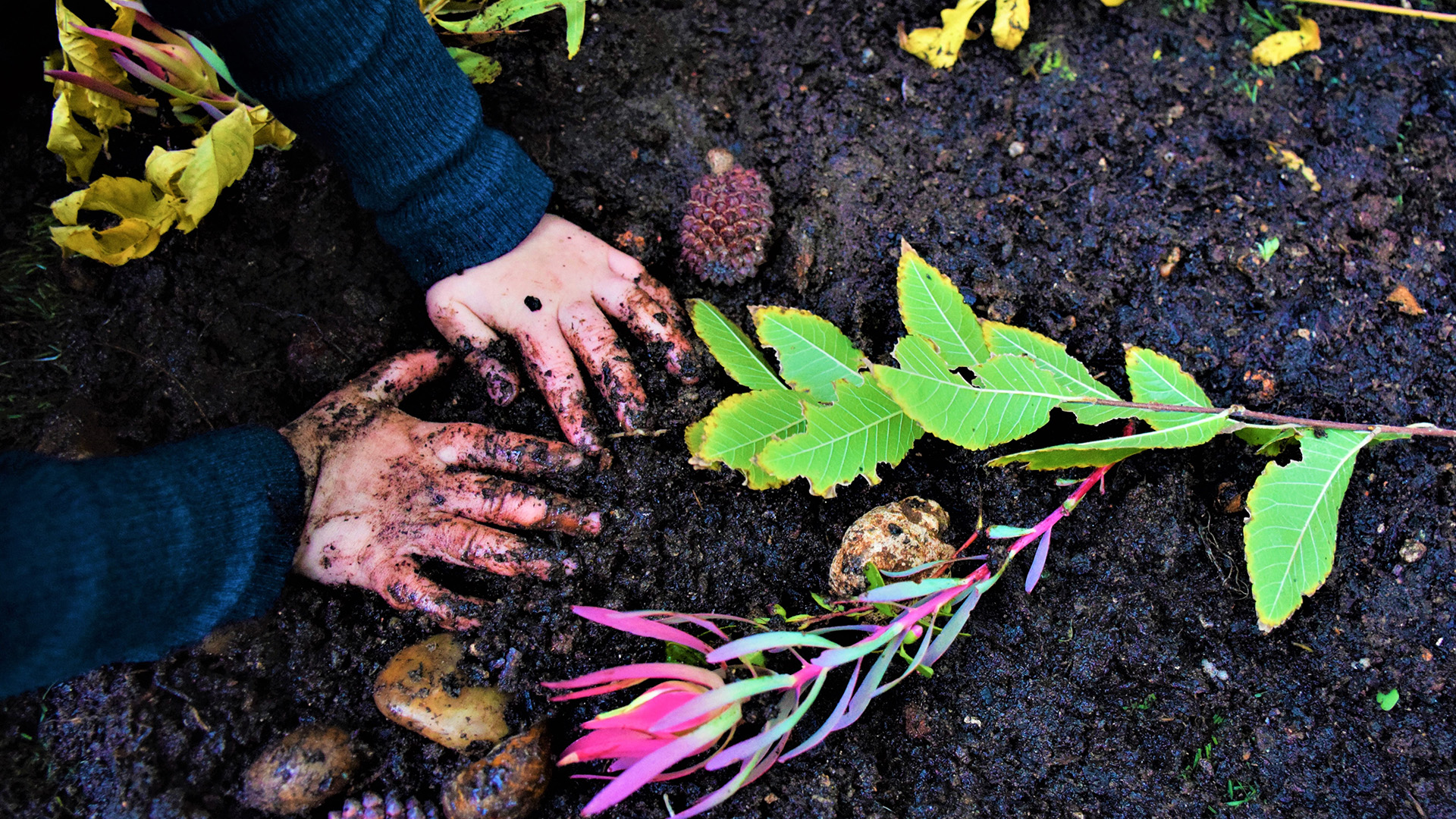Child playing in dirt with leaves