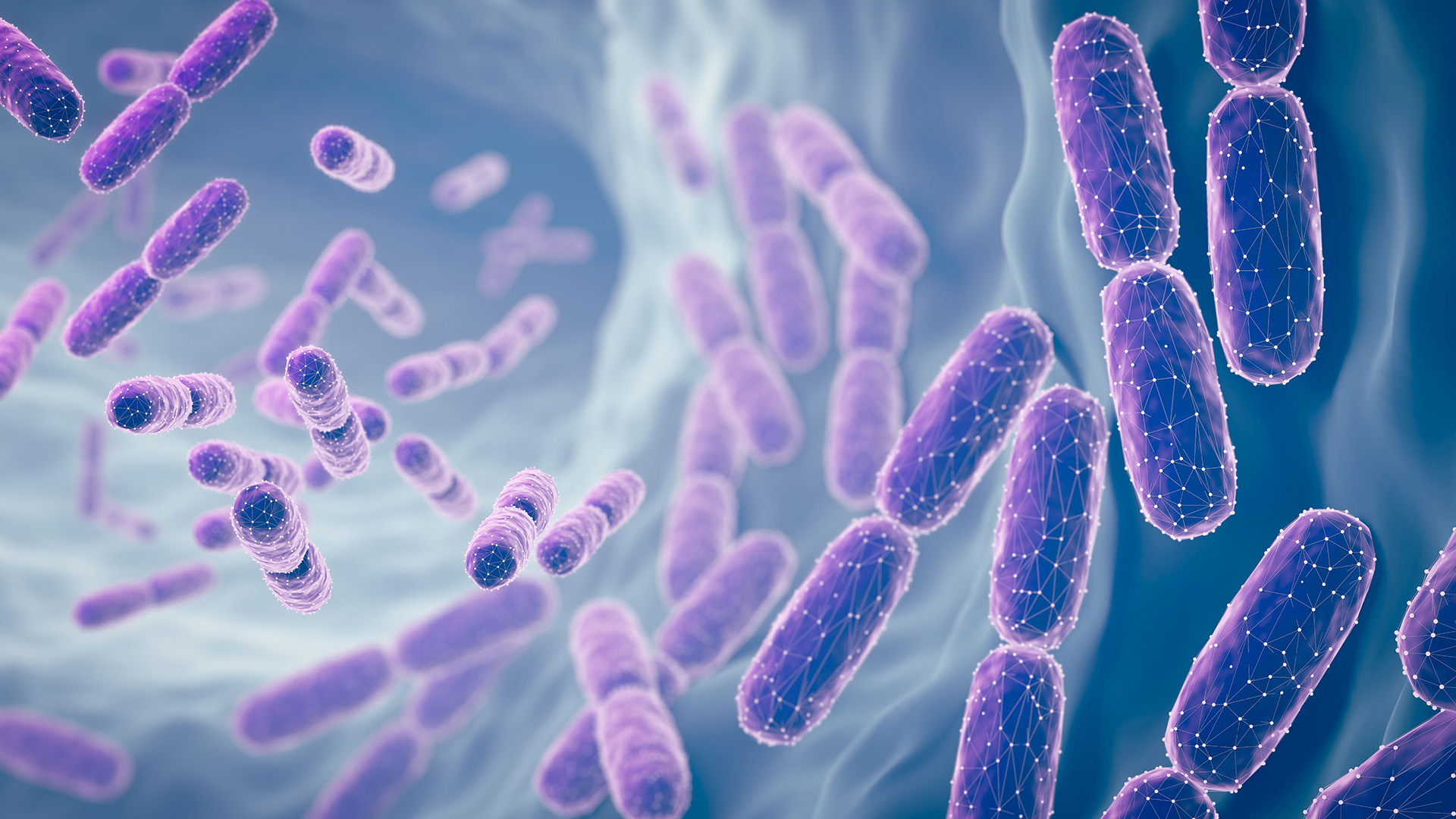 Microbiome microscope image