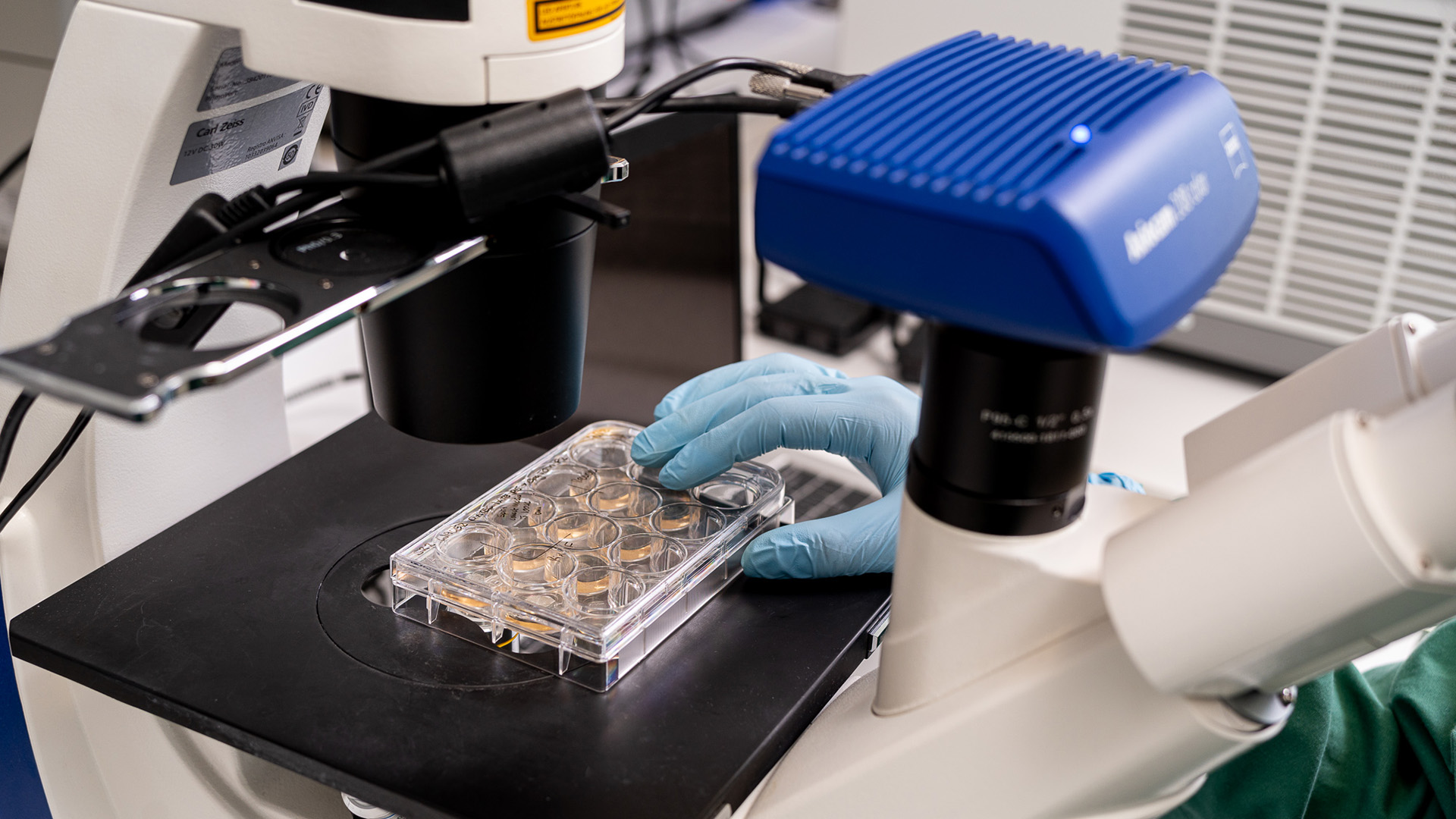 SAiGENCI lab and tools