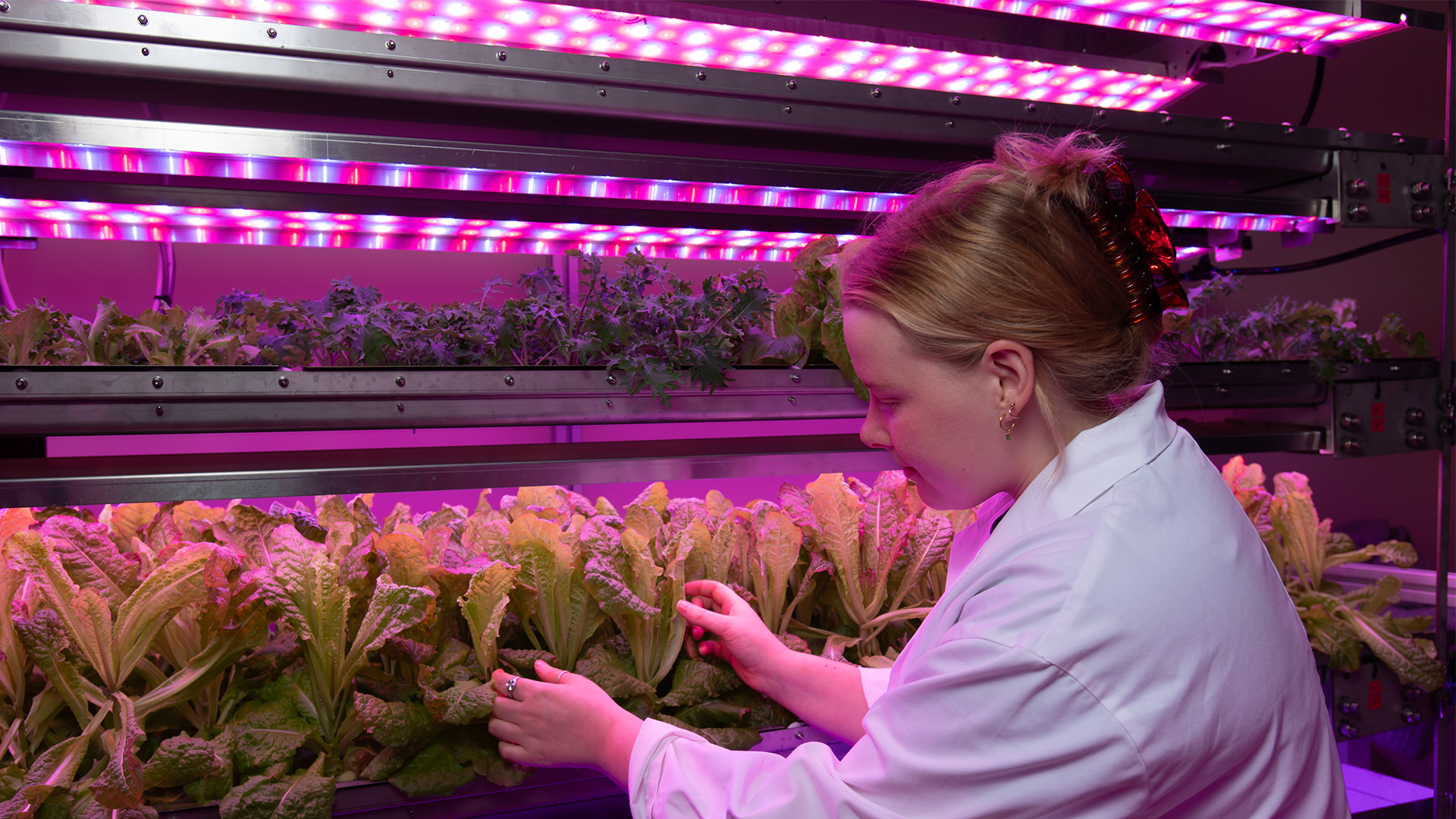 Adelaide University researcher in a lab growing plants for space