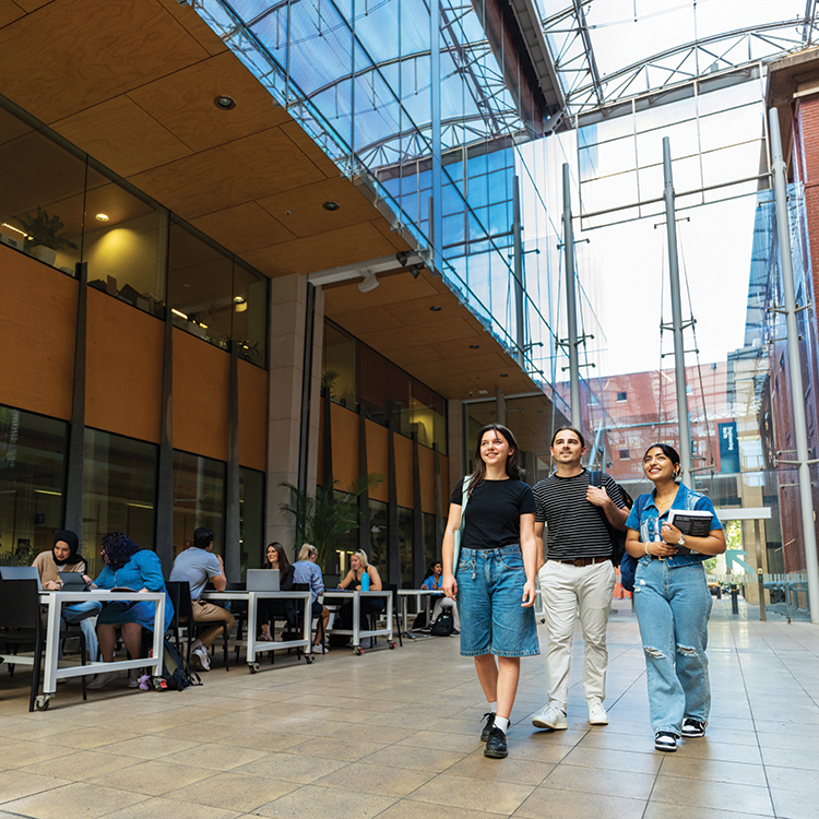 Students studying on campus