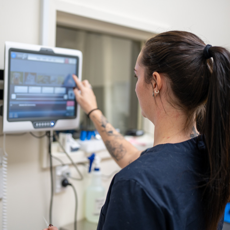 A medical expert looks at a screen. Photo: IStock,  Don Wu