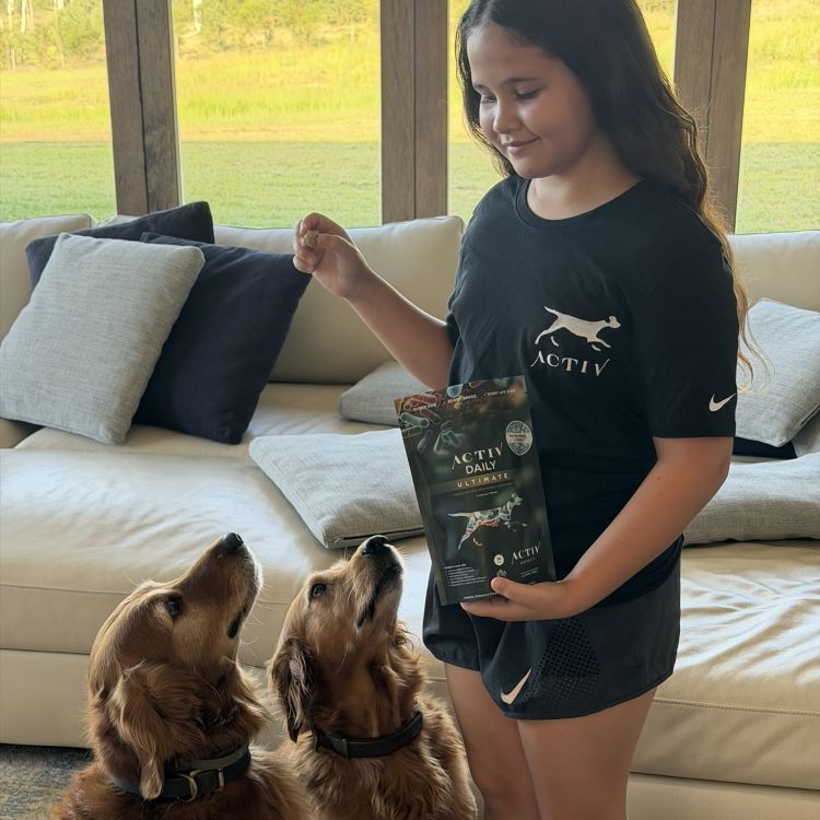 girl looking down at two dogs