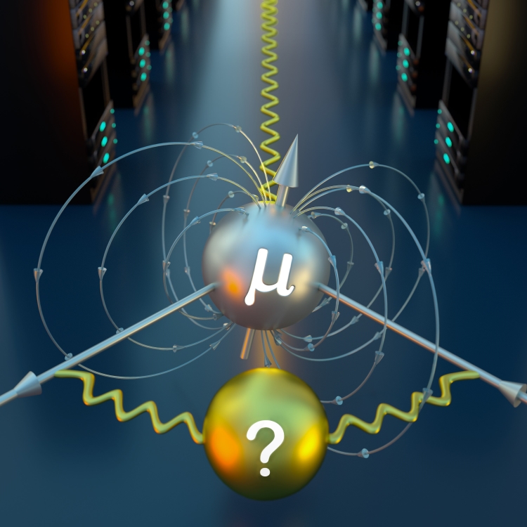 Computer simulation of a subatomic particle