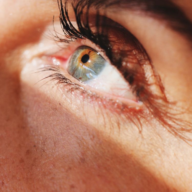 Close up image of an eye.