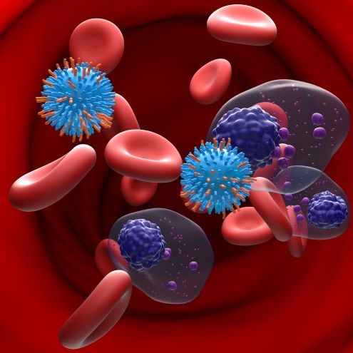 image of multiple myeloma blood cells