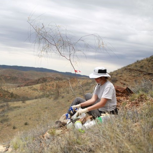 Researcher sitting beside tree in a remote landscape
