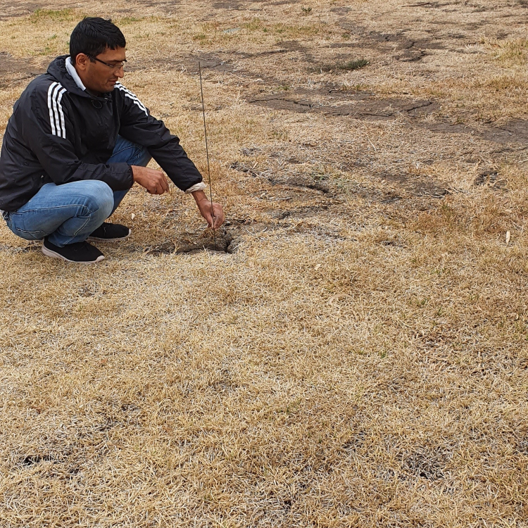 Cracked soils