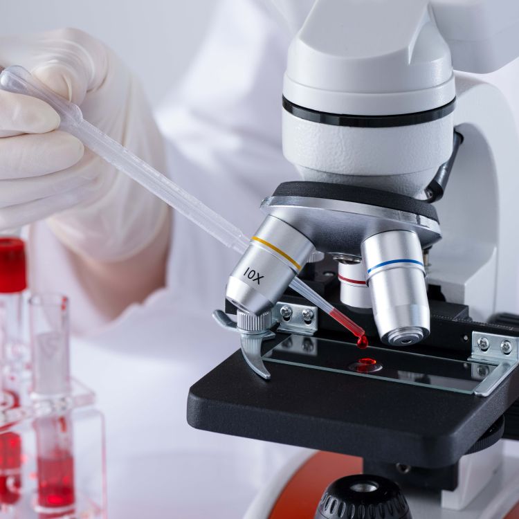 Close up of someone holding a pipette with blood and looking into a microscope