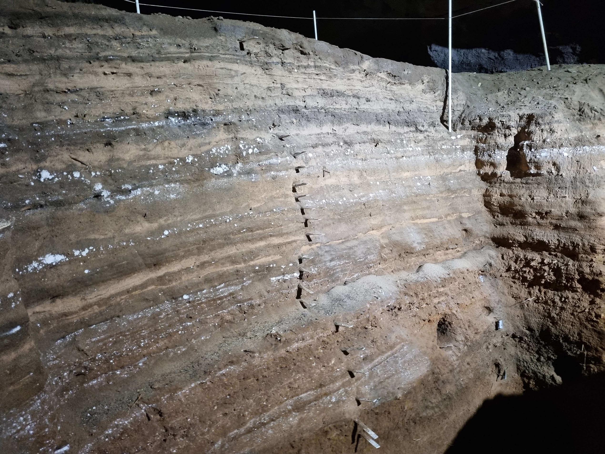 A glimpse into the past: what digging for DNA in cave dirt tells us ...