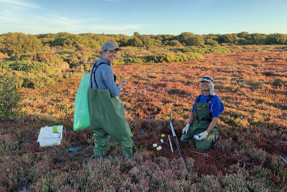 Saltbush mangroves with Hannah Tan