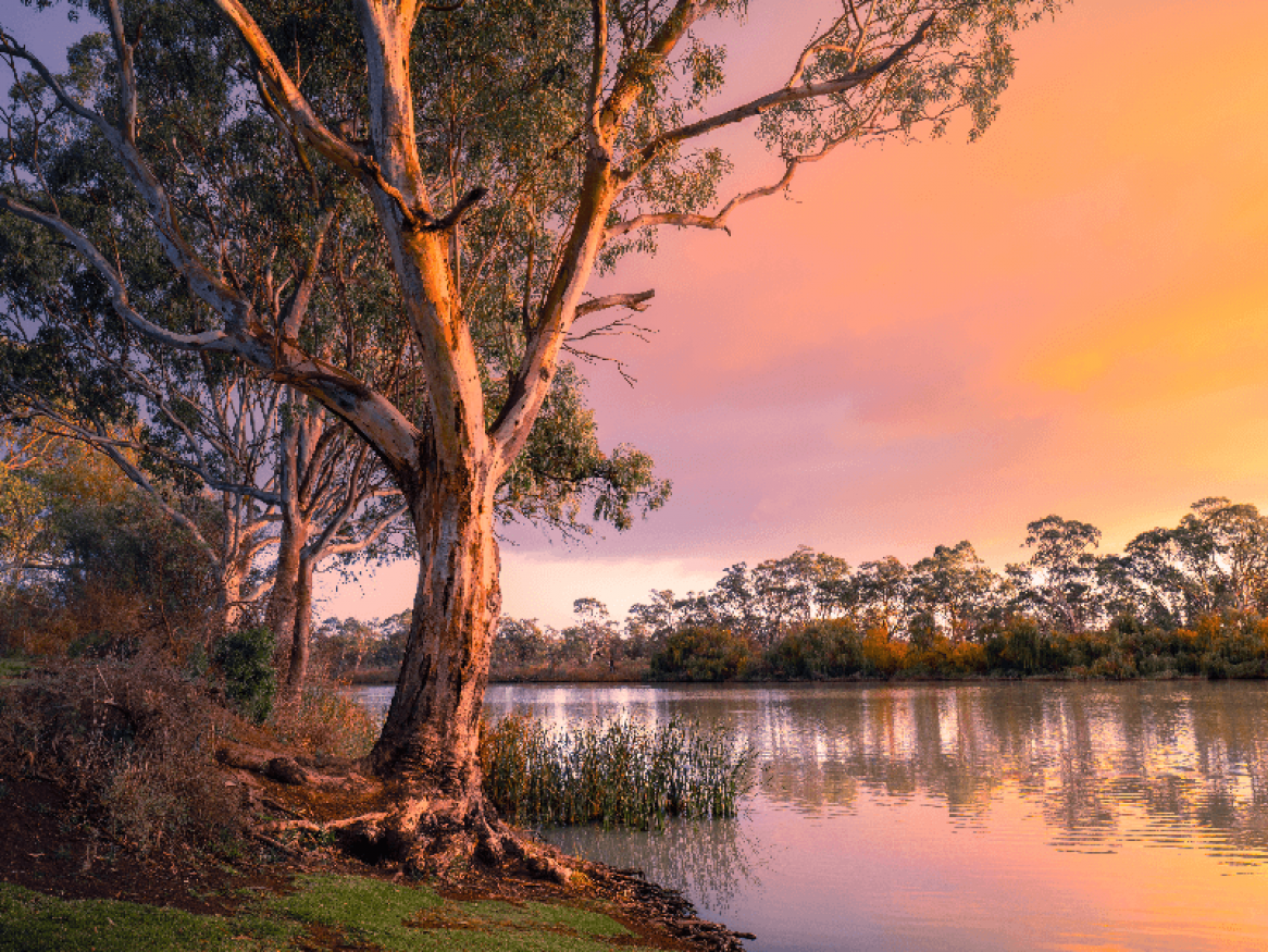 Murray-Darling Basin