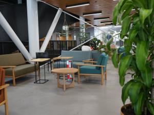 Hub level 4 lounge with furniture and plant in foreground