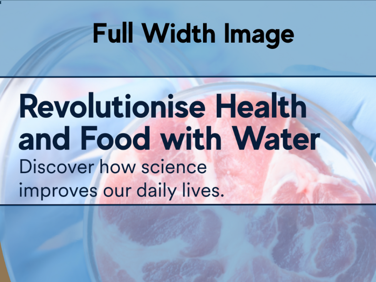 Plasma Activated Water for Food and Health Safety
