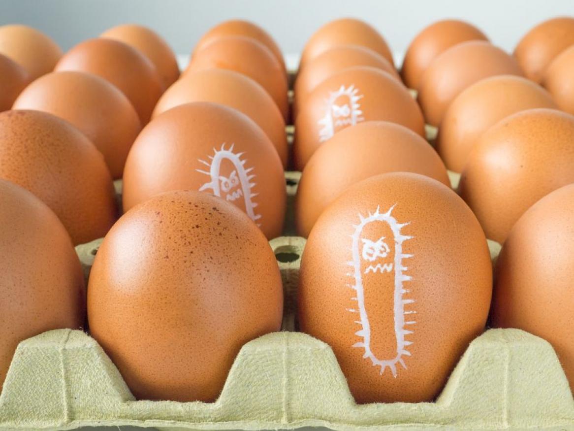 Eggs with drawn images representing salmonella bacterias