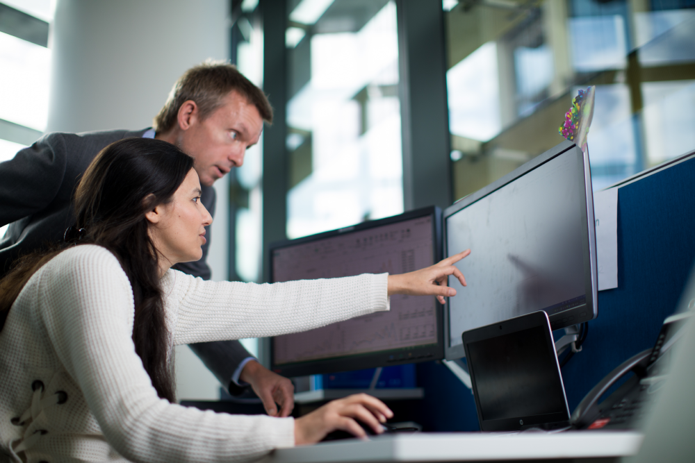 Two people discussing image on computer screen