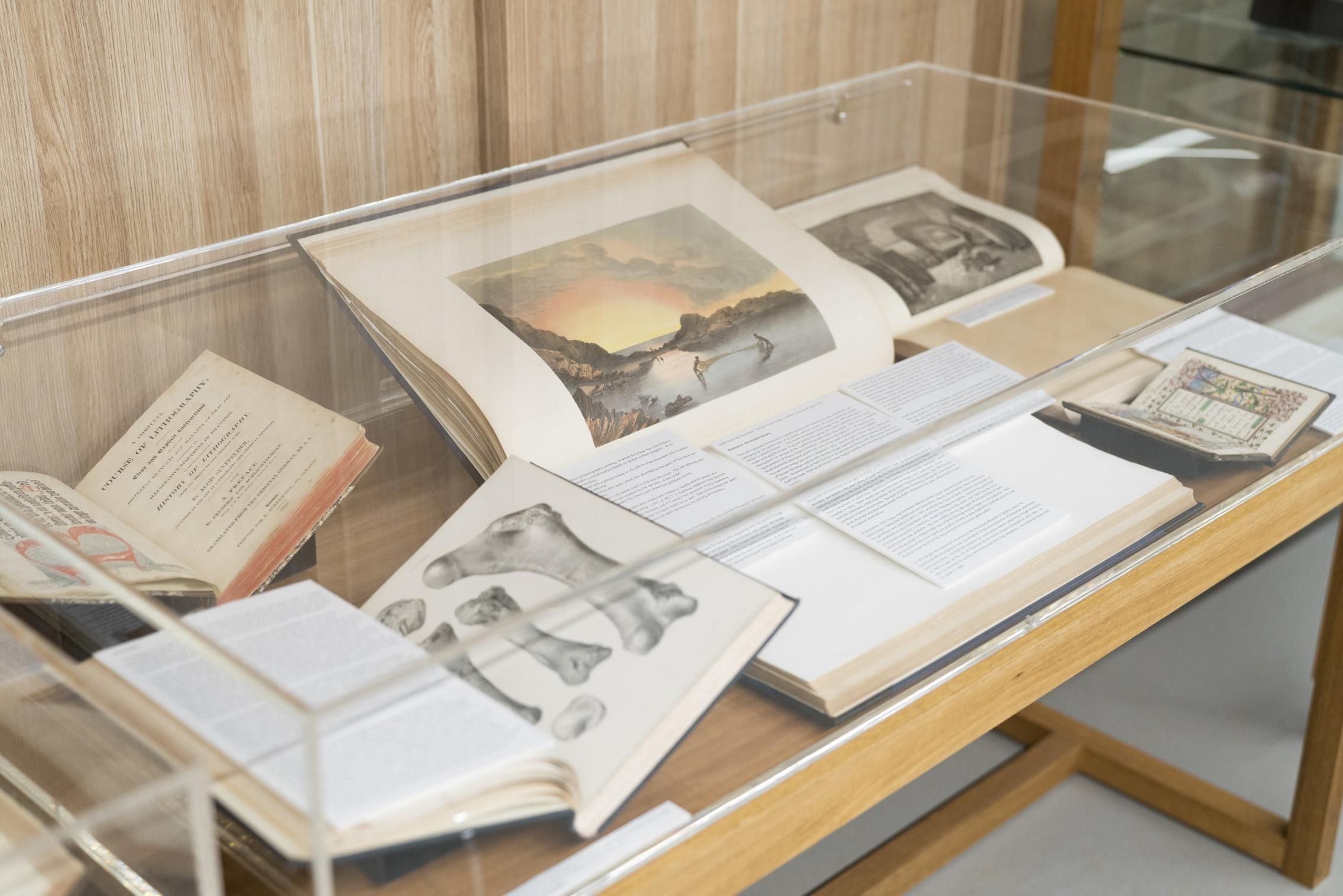 Display case on Level 1 of the library