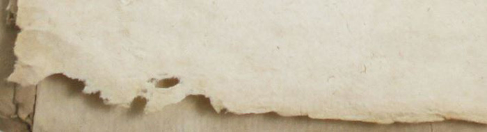 How To: Make Parchment and Vellum