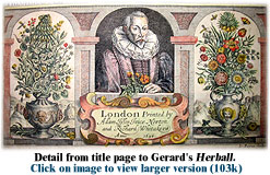 Detail from title page of Gerard's "Herball"