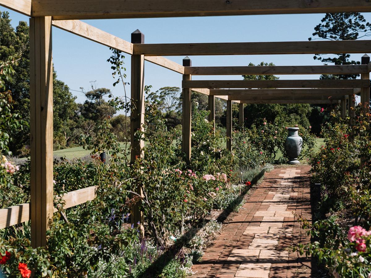 The Sensory Garden