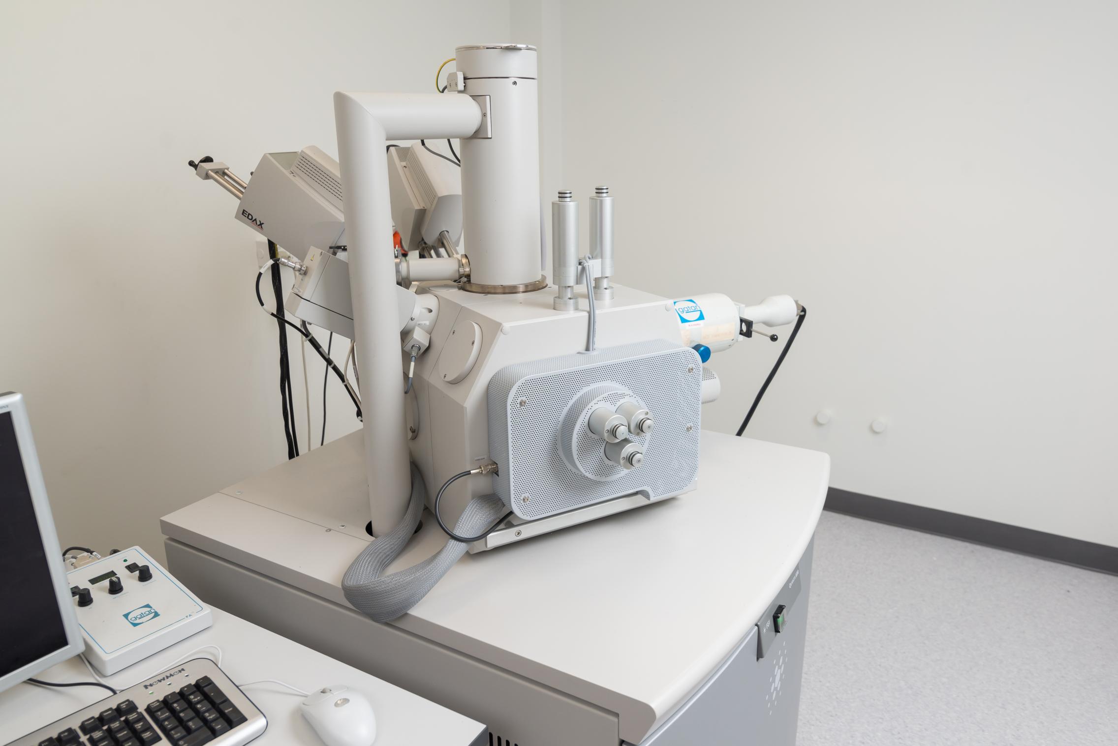 Scanning Electron Microscopes (SEM) | Adelaide Microscopy | University ...